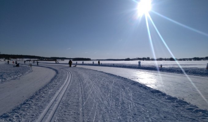 Luontoa ja hevosvoimia yläkuva