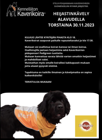 Etelä-Pohjanmaan kaverikoirien Suomenselän ryhmä kutsuu mukaan heijastinkävelylle Alavudella torstaina 30.11.2023. Lähtö Kyntäjän pihasta klo 17.30 alkaen.