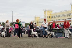 Miljoona Koira 2024 -tapahtuma Tuurin Kyläkaupalla 8.-9.6.2024.